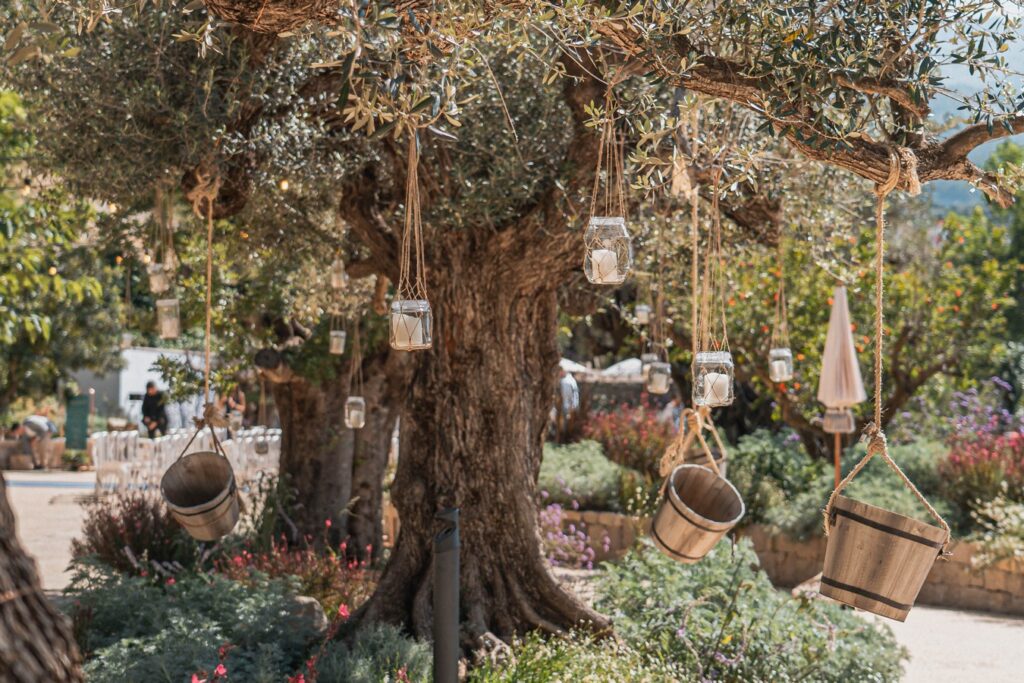 terraza de olivos centenarios boda exterior