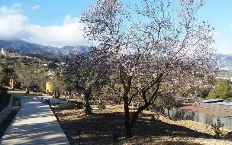 Vivood-10-Things-you-can-only-do-in-Guadalest-3