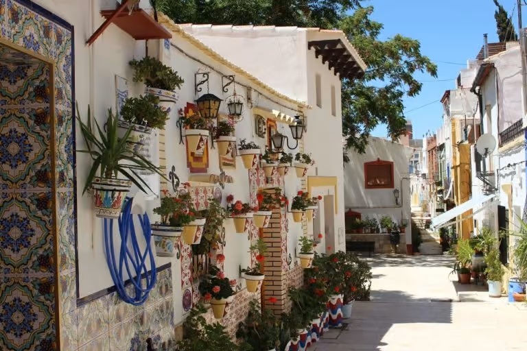 Vivood-que-ver-en-alicante-3