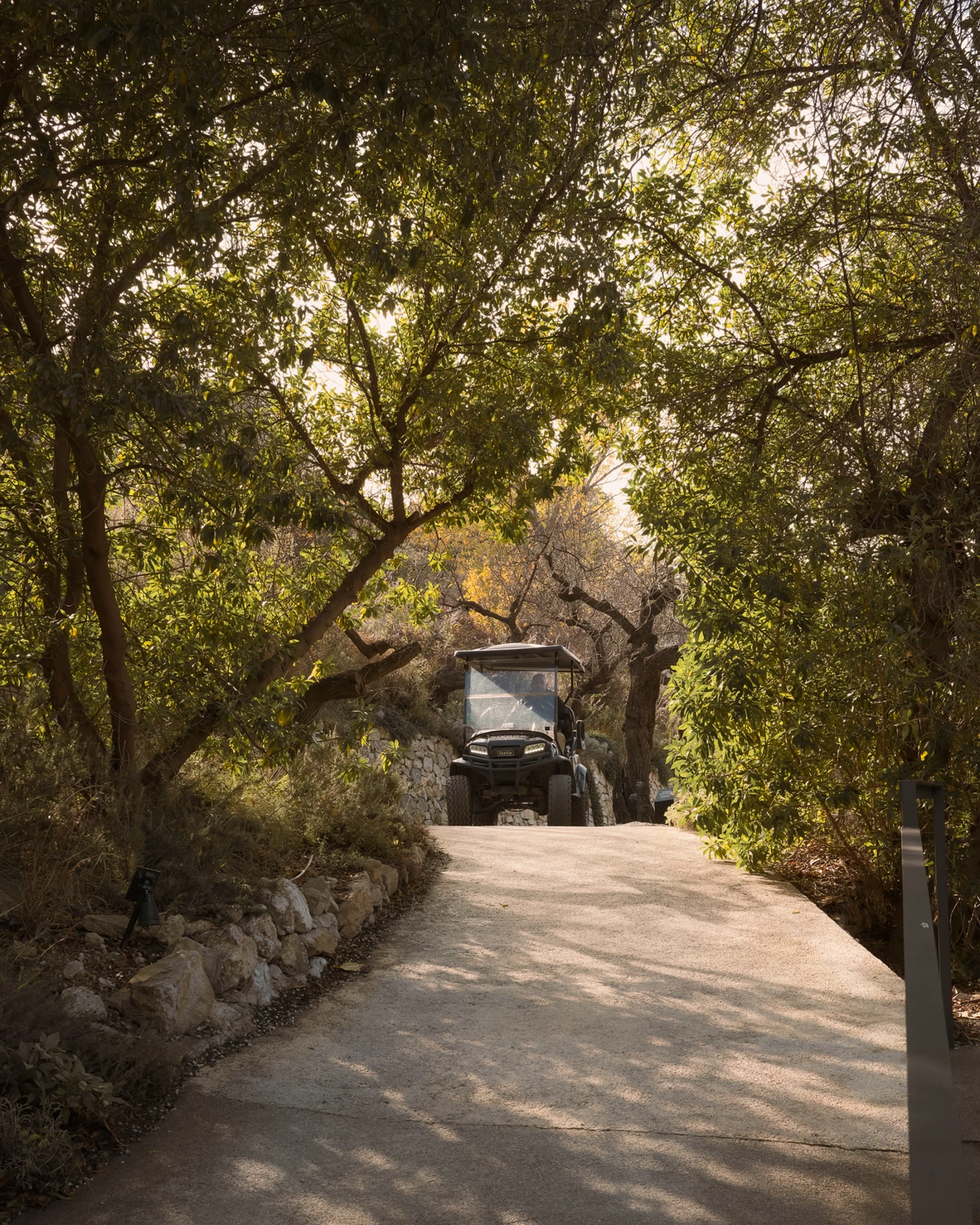 Vehículo eléctrico recorriendo los caminos naturales de VIVOOD