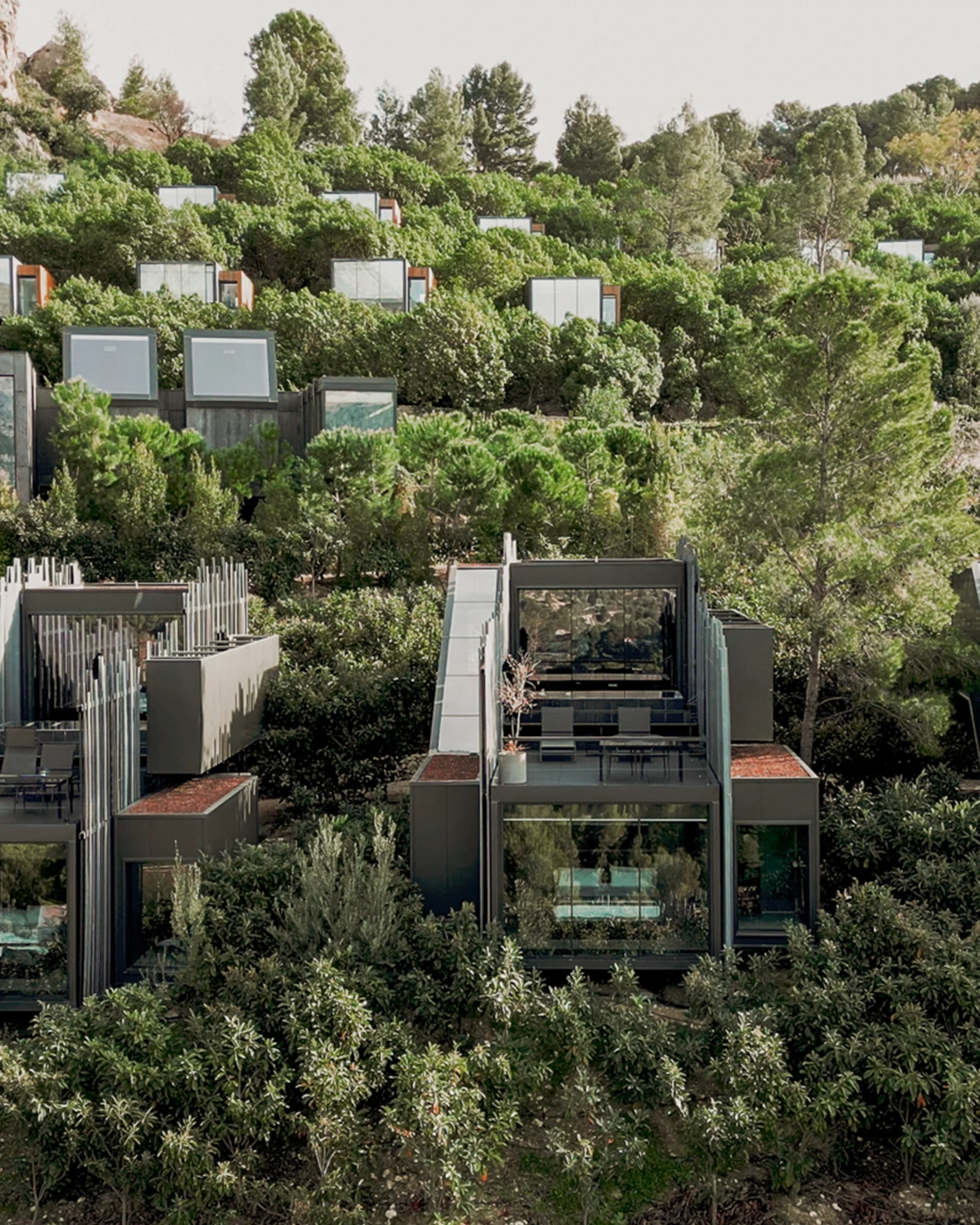 Arquitectura modular y escalonada de VIVOOD entre árboles
