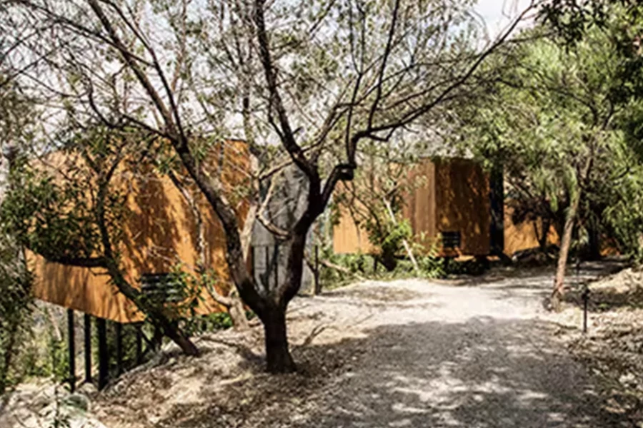 Los hoteles en la naturaleza como VIVOOD te hacen disfrutar y desconectar