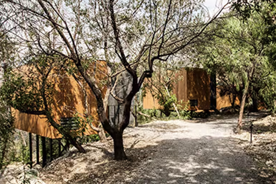 Los hoteles en la naturaleza como VIVOOD te hacen disfrutar y desconectar