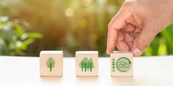 vivood-eventos-empresa-sostenible-beneficios-2