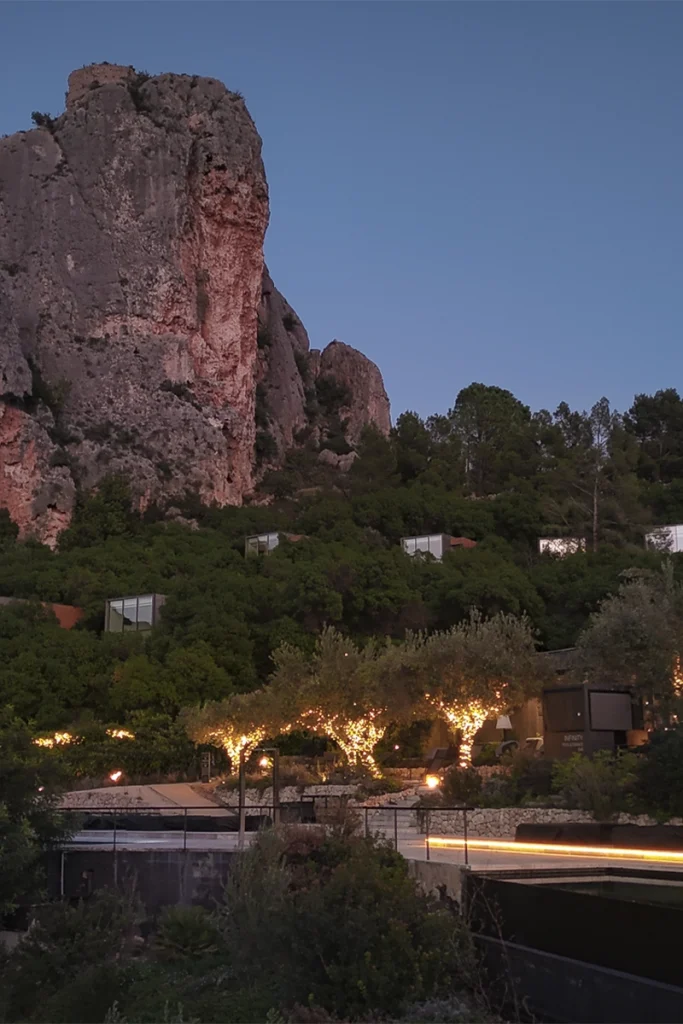 Christmas lights on the olive trees at VIVOOD hotel