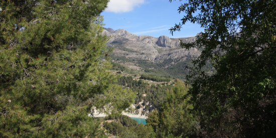 Turismo de Invierno VIVOOD